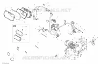 Système Électrique STD, X, XT, LTD