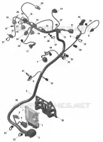 01- ROTAX - Engine Harness And Electronic Module