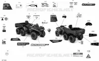 Décalques - 6X6 - 1000 EFI - Pro Nordic - Europe