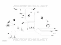 Électrique - Câblage Principal - 710006658
