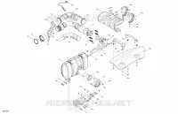 Moteur - Échappement