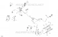 CLIGNOTANTS