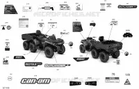 Décalques - 6X6 - 650 EFI - DPS - Europe
