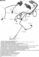 Câblage Moteur