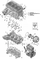 Carter