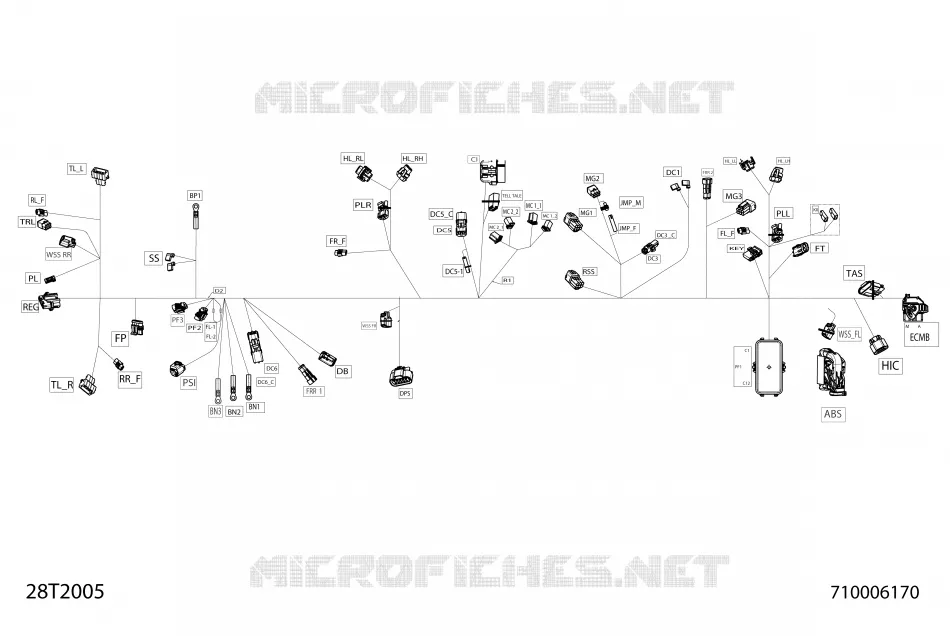 Câblage Principal - 710006170