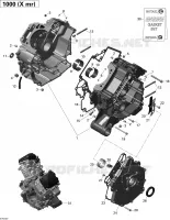Carter _01R1507