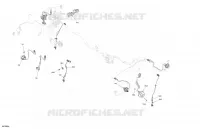 CLIGNOTANTS