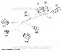 Câblage Électrique, Section Avant Europe