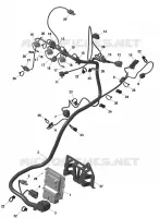 Rotax - Câblage Moteur Et Module Électronique - Turbo RR