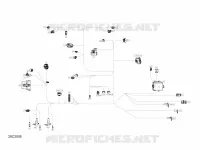 Câblage Principal - 710006659