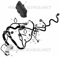 01- ROTAX - Engine Harness And Electronic Module