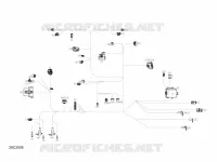 Électrique - Câblage Principal - 710006658