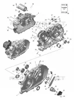 Rotax - Carter - 450