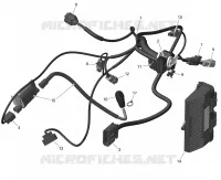 Rotax - Câblage Moteur Et Module Électronique - 450 - International