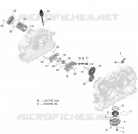 Engine Lubrication