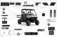 Carrosserie - Décalques  - DPS