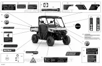 Carrosserie - Décalques  - XT