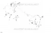 CLIGNOTANTS