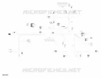 Câblage Principal - 710006754