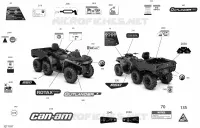 Décalques - 6X6 - 650 EFI - DPS - International