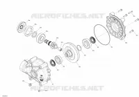 Entraînement Arrière - Pièces du Différentiel
