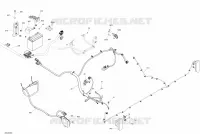 Électrique - Système - Section Arrière