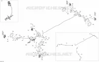 Freins