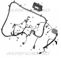 Rotax - Câblage Moteur Et Module Électronique