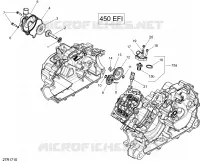 Refroidissement Moteur - 450 EFI
