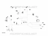 Électrique - Câblage Principal - 710006658