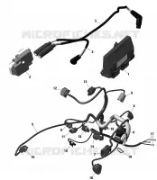 01- ROTAX - Engine Harness And Electronic Module