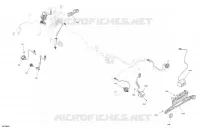 CLIGNOTANTS