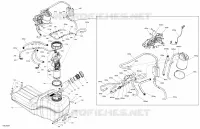 Moteur - Alimentation - EVAP System