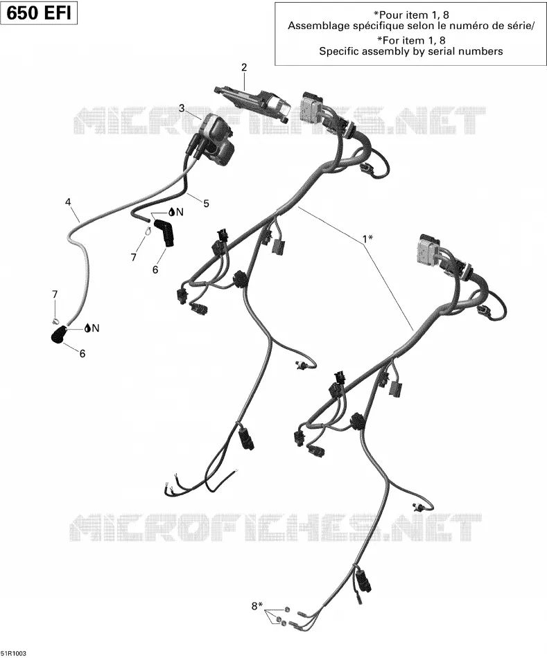 Câblage Moteur Et Module Électronique