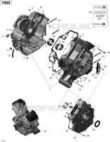 Carter - 1000 EFI