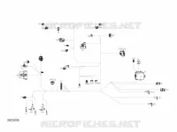 Électrique - Câblage Principal - 710006658