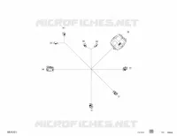 Électrique - Câblage de Boîte Arrière - 710007697 - Amérique du Nord