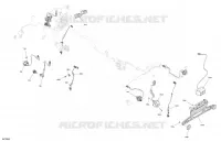 CLIGNOTANTS