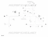 Câblage Principal - 710006377