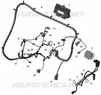 01- ROTAX - Engine Harness And Electronic Module