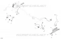 CLIGNOTANTS