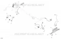 CLIGNOTANTS