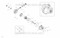 Entraînement Avant - Pièces du Différentiel
