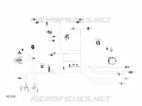 Électrique - Câblage Principal - 710006658