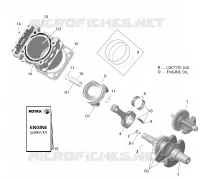 Vilebrequin et Pistons - 450 EFI