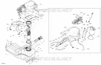 Moteur - Alimentation - EVAP System