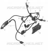 Electric - Engine Harness And Electronic Module - 450 - North America