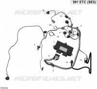 Câblage Moteur et Module Électronique