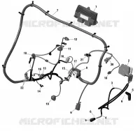 Câblage Moteur Et Module Électronique